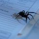 Image for article titled CSI: Cyber's Nonsense Phishing Hotel Passion Murder Hack